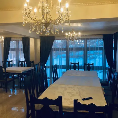 Pensiunea Magnolia 4*