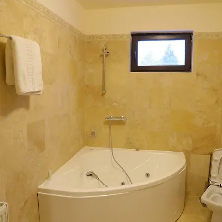 Guest house Pensiunea Magnolia Craiova