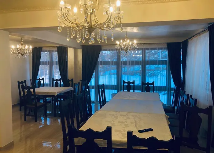 Pensiunea Magnolia 4*