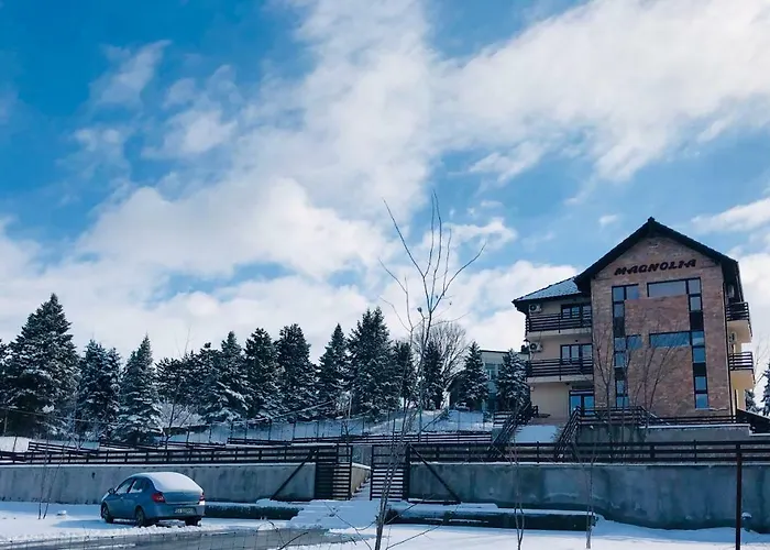 Pensiunea Magnolia Vendégház 4*